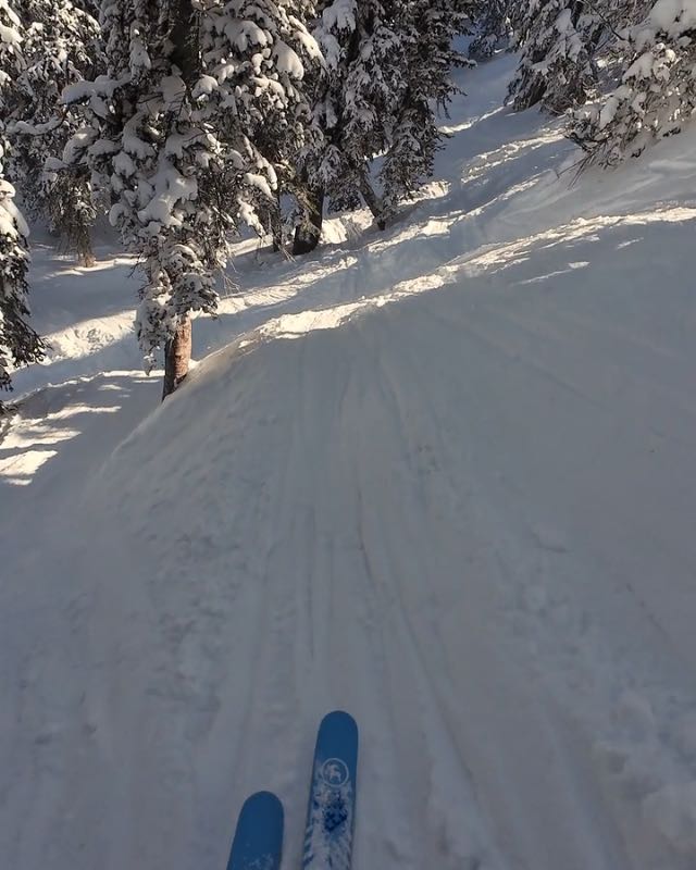 Blick aus Brusthöhe auf die Piste